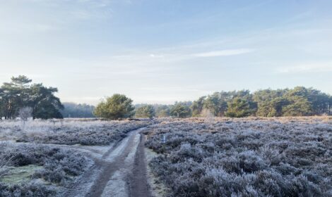 14e Metaaltijdendag 2026
